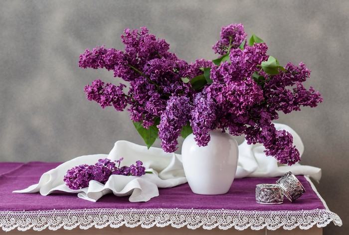 Purple Lilacs in a White Vase on a Table