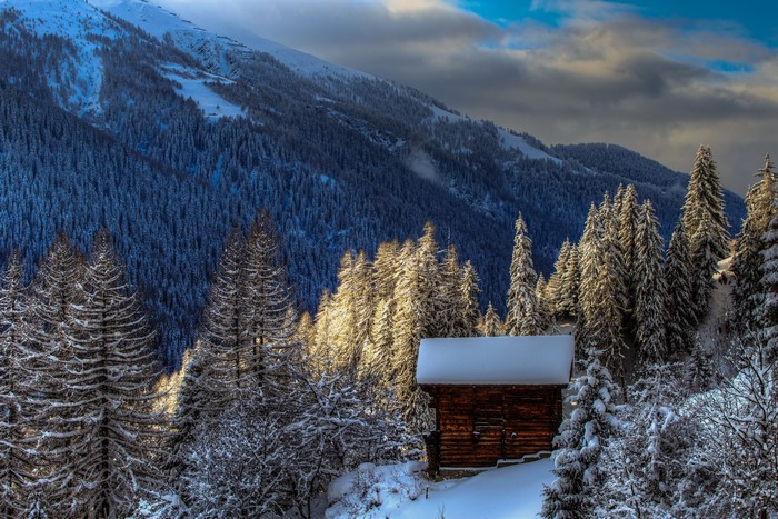 Wooden cabin in a snowy forest in the Alps