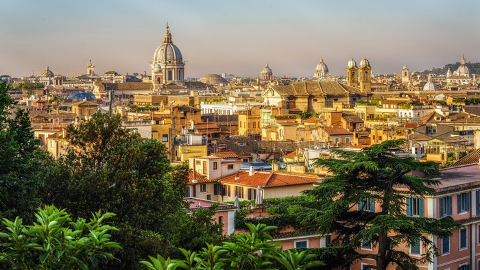 Rome cityscape with domes and trees