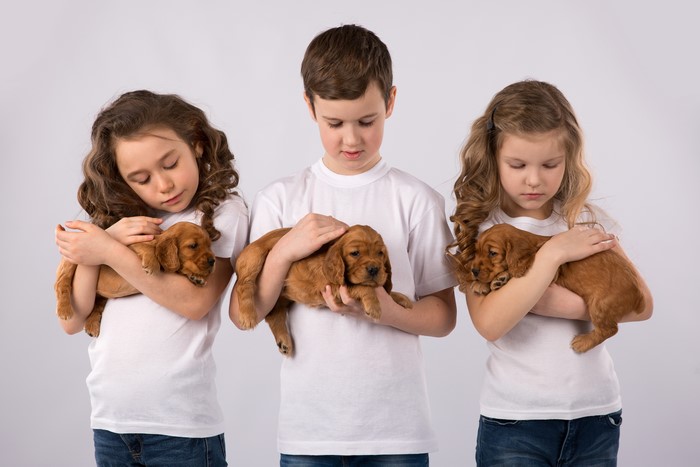 Three children holding puppies