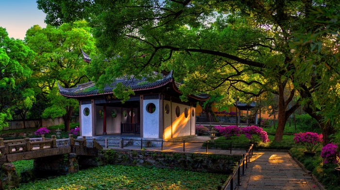 Traditional Chinese Pagoda in a Lush Garden