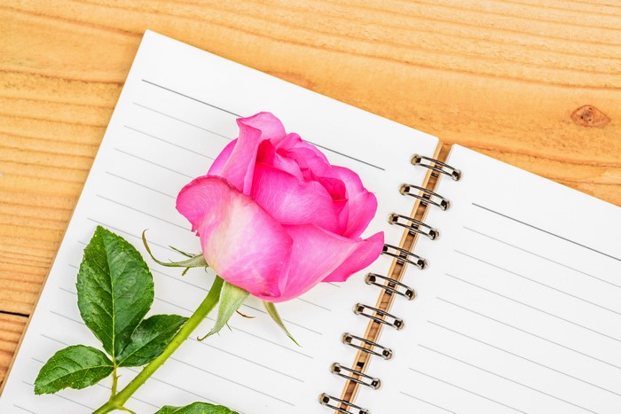 Pink rose on a notepad with wood planks background