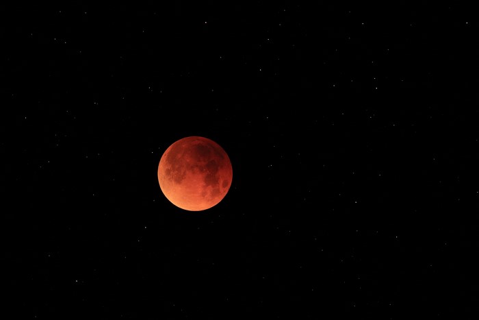 Blood Moon in a Starry Night Sky
