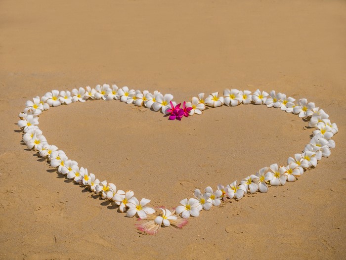 Heart shape made of plumeria flowers on sand