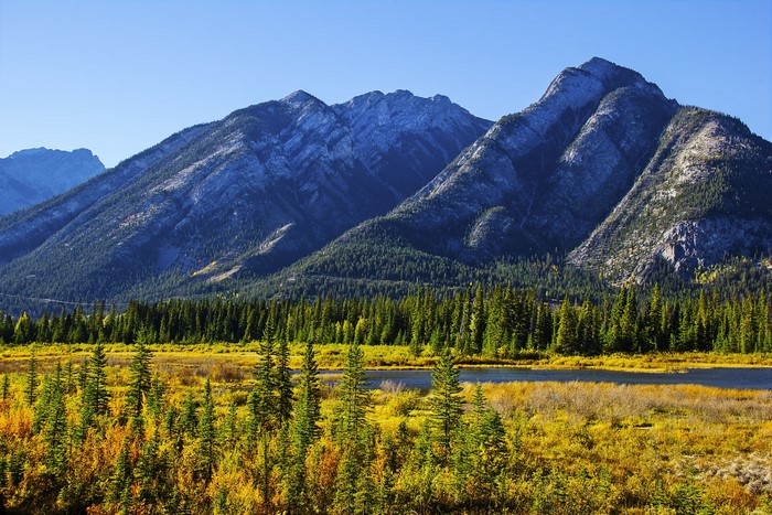 Autumn landscape with mountains and a river in Banff National Park