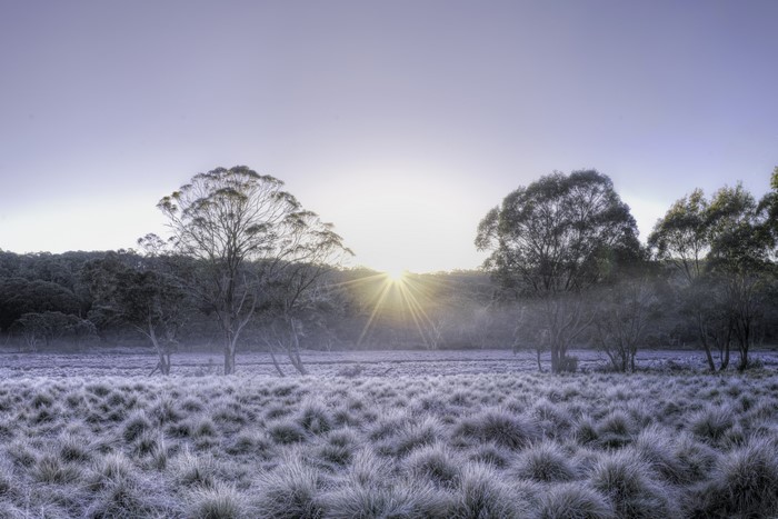 4K HDR Sunrise over Frosted Grassland in Barrington Tops National Park, Australia