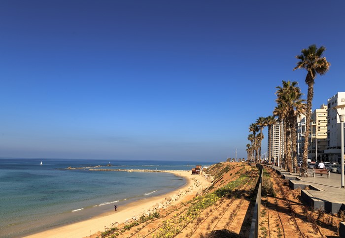 Bat Yam, Israel Coastline with Palm Trees and Buildings