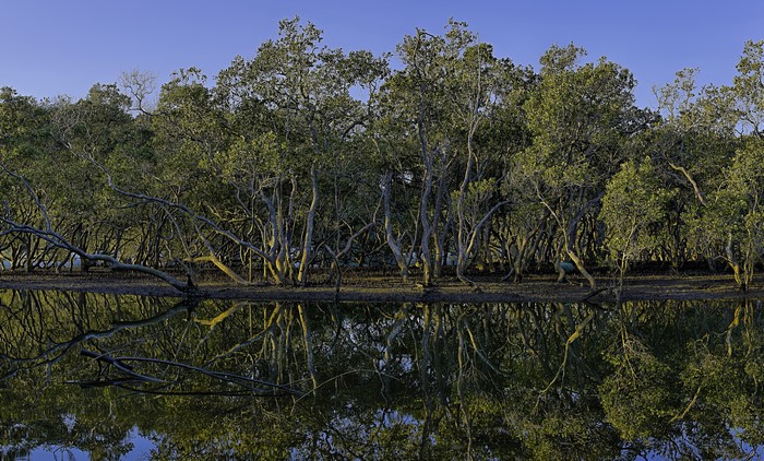 Brooklyn Hawkesbury River Trees Reflection