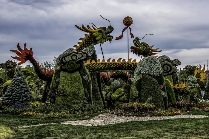 Dragon Topiary Display in Ottawa, Canada
