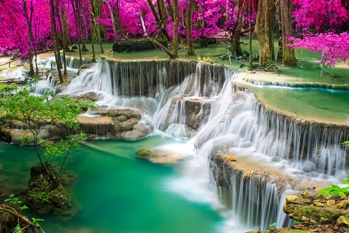 Thailand Waterfalls in Pink Forest