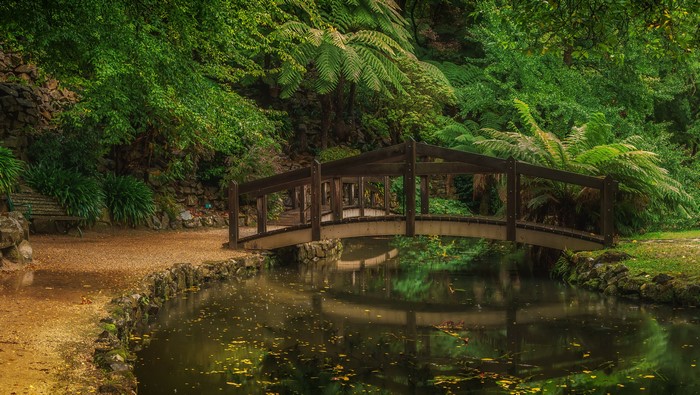 Wooden bridge over a pond in Alfred Nicholas Memorial Gardens