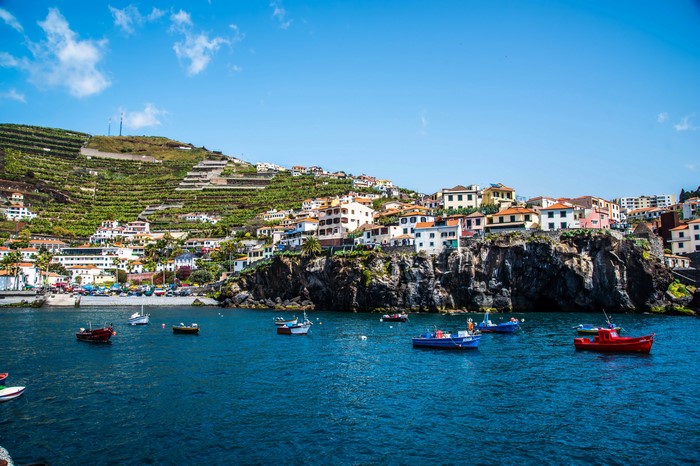 Boats in a harbor with a coastal town on a hillside