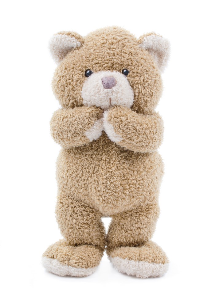 A fluffy teddy bear standing on a white background