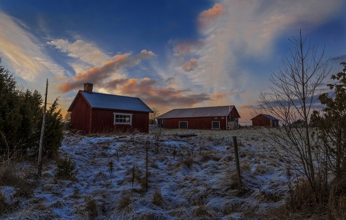 Red houses in a snowy field at sunset in Sweden