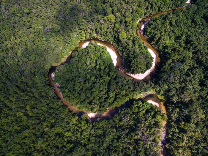 Aerial view of a winding river through the Amazon jungle in Brazil
