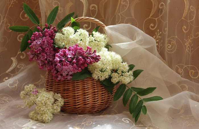 Lilac and white flowers in a wicker basket