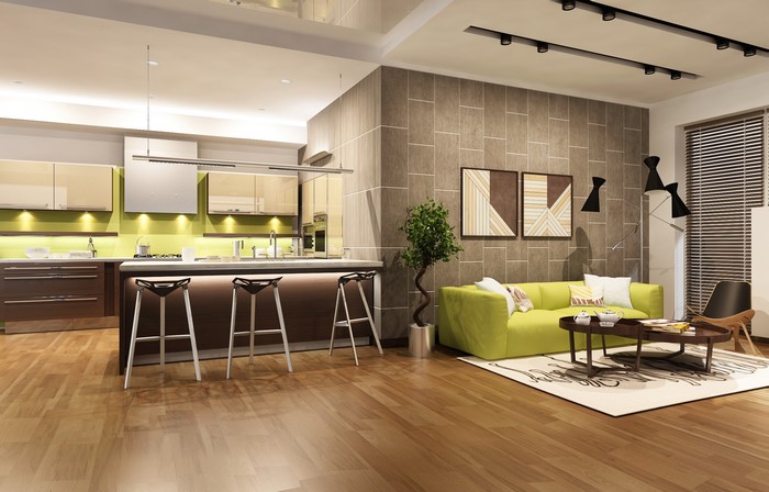 Modern open-plan kitchen and living room interior