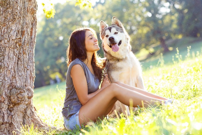 Girl with Husky Dog Sitting Under Tree