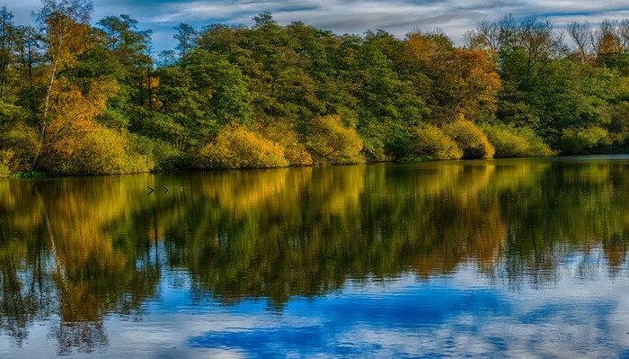 Autumn forest reflected in a lake in Ahausen, Germany