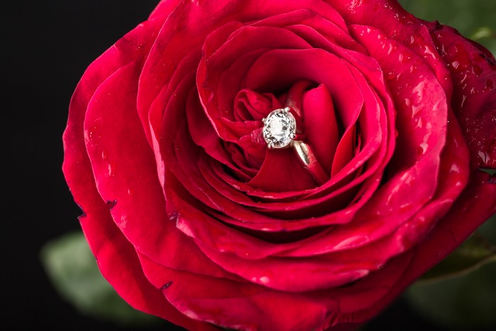 Diamond ring in a red rose