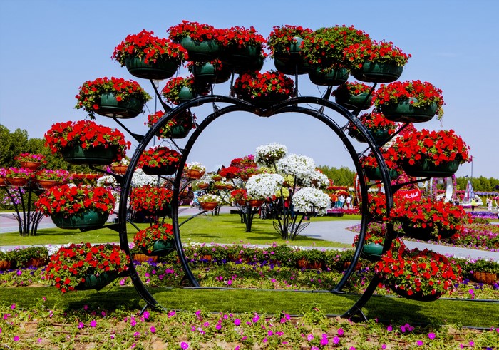 Miracle Garden Dubai Flower Display