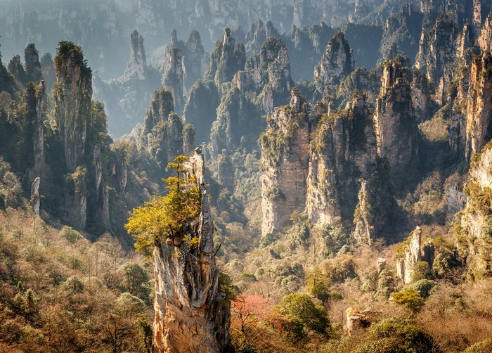 Zhangjiajie National Forest Park, China