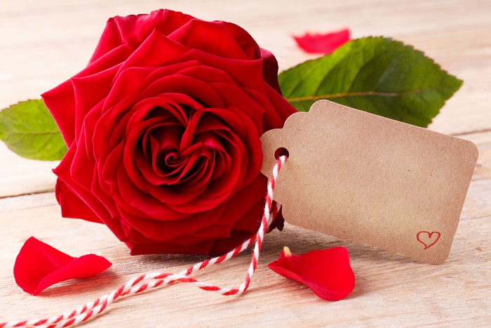 Red rose with a blank tag and petals