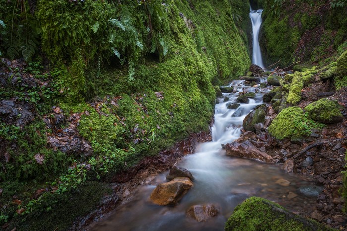 4K Waterfall in Dollar Glen, Scotland
