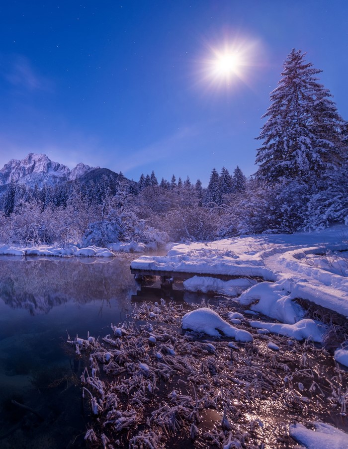 Zelenci Nature Reserve in Slovenia in Winter