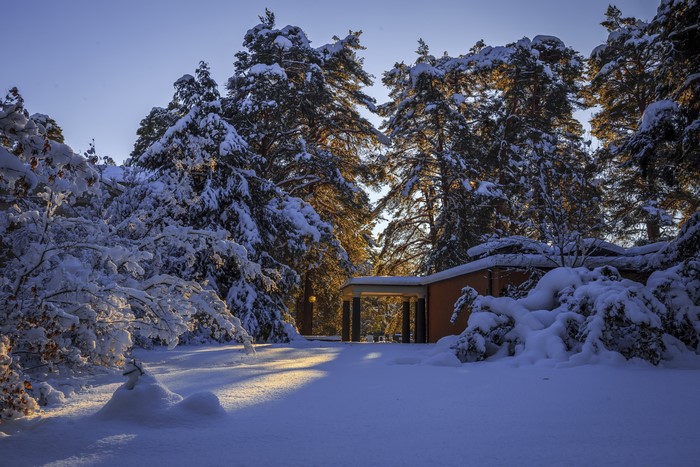 Snowy forest with a building in Sweden