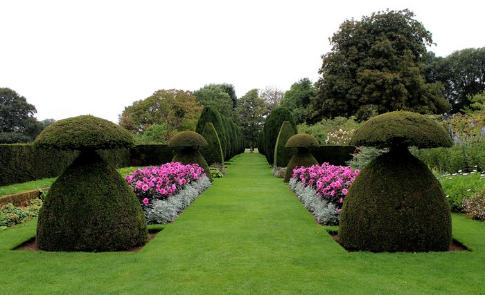 Topiary garden path with pink flowers at Hinton Ampner, England