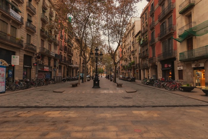 Street in Barcelona, Spain with parked bicycles and trees