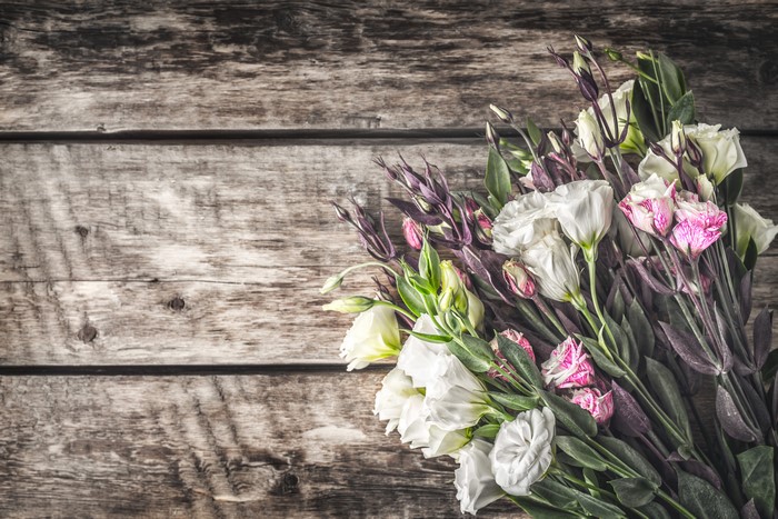 Eustoma flowers on wood planks