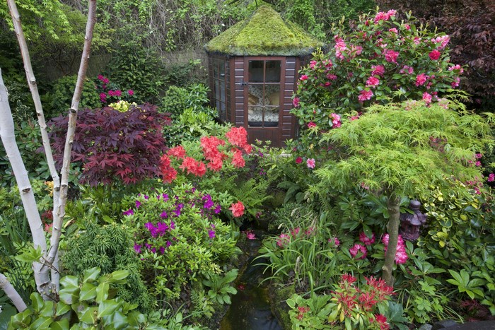 English garden with a moss-covered gazebo and blooming rhododendrons