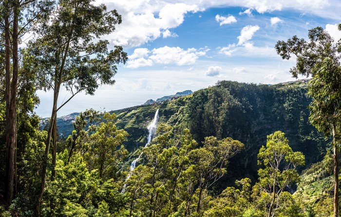 Waterfall on Madeira Island, Portugal