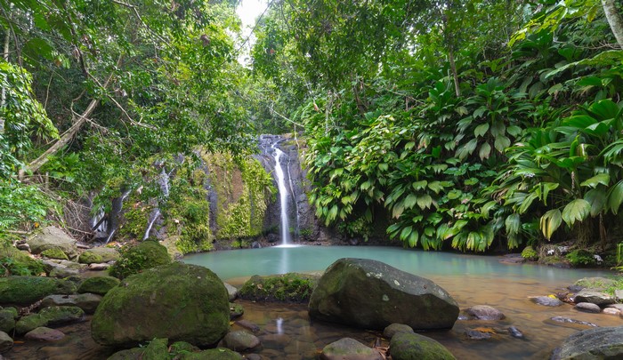 Guadeloupe Sainte-Rose Cascade Bis Waterfall in Tropics