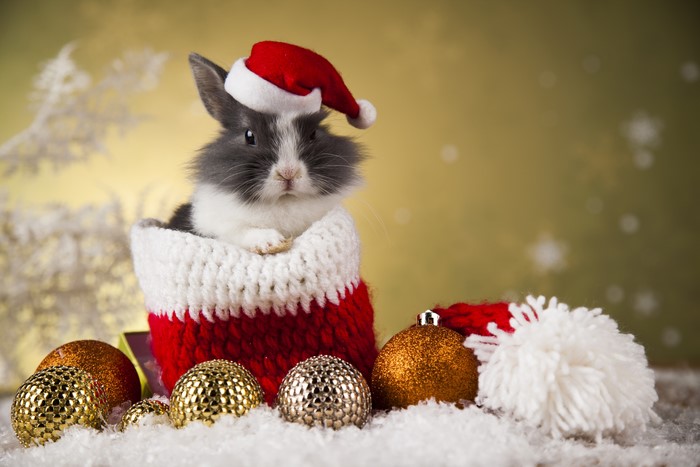 Rabbit in a Christmas stocking with ornaments