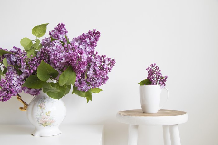Lilac in a vase and mug on a stool