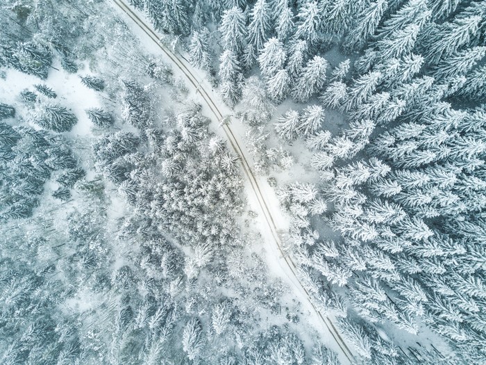 Aerial view of a snow-covered forest with a road