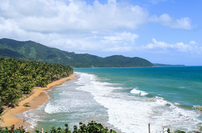 4K Puerto Rico Tropics Coast with Palm Trees and Waves