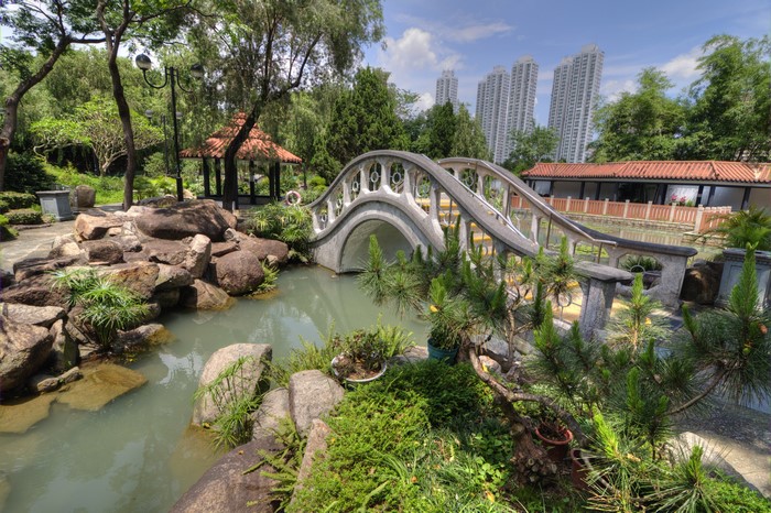 Park with Bridge, Pond, and Buildings in Hong Kong
