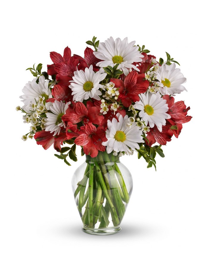 Red Alstroemeria and White Daisies in a Glass Vase
