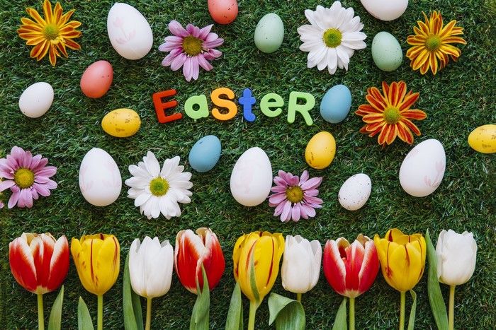 Easter eggs and tulips on grass