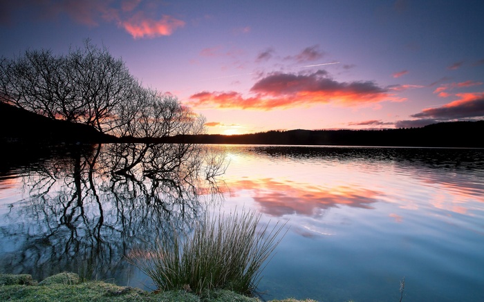 Sunset over a calm lake with silhouetted trees