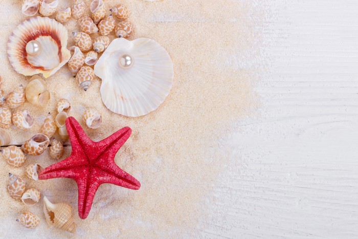 Starfish and Shells with Pearls on Sand