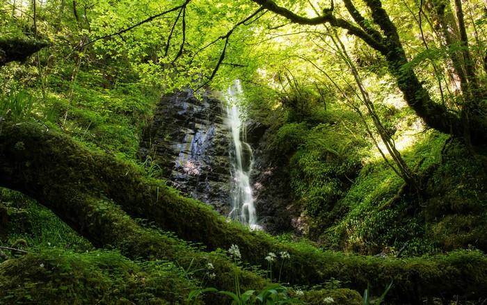 4K Highlands Waterfall Scotland Crag Moss Branches