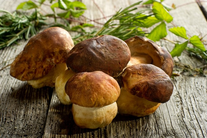 Mushrooms on a wooden table with herbs