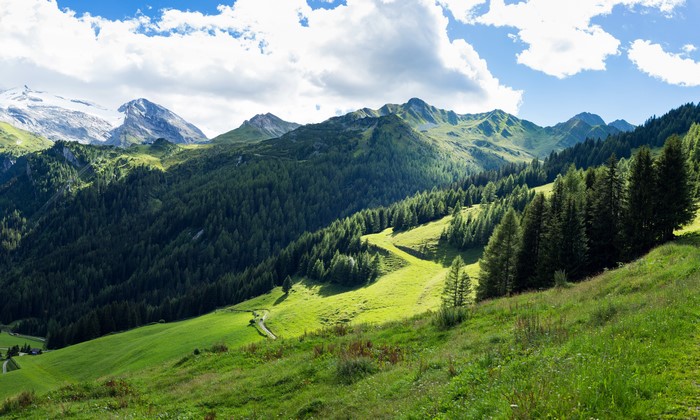 Mountains and Forests in the Alps, Austria