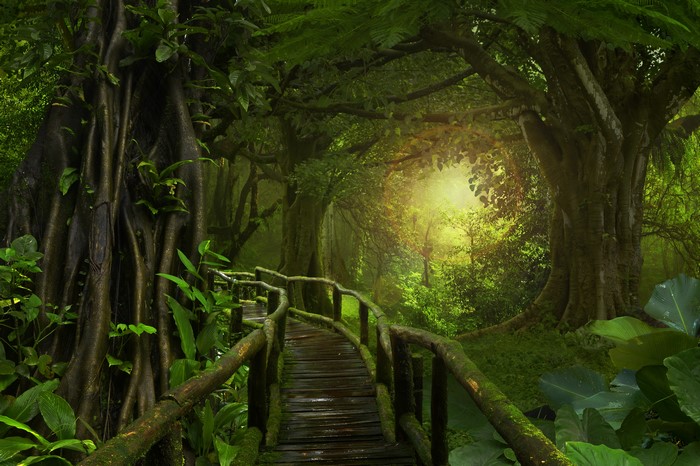 4K Jungle Forest with Wooden Bridge and Moss