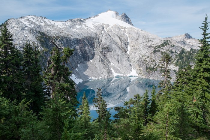 Mount Rainier National Park Cyclone Lake Spruce Trees